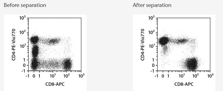 Separation of an LRSC sample using the StraightFrom LRSC CD4/CD8 MicroBead Kit and the MultiMACS Cell24 Separator Plus with the Single-Column Adapter and LS Columns. Cells were fluorescently stained with REAfinity Antibodies CD4-PE-Vio 770, CD8‑APC, as well as CD45‑VioBlue and analyzed by flow cytometry using the MACSQuant Analyzer. Viable leukocytes were gated for analysis based on scatter signals, propidium iodide fluorescence, and CD45 expression.